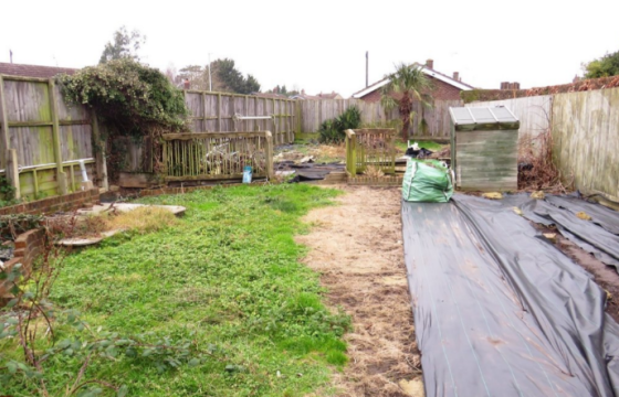 Plot for sale in Manea photo